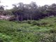 Mt. Elgon Cave