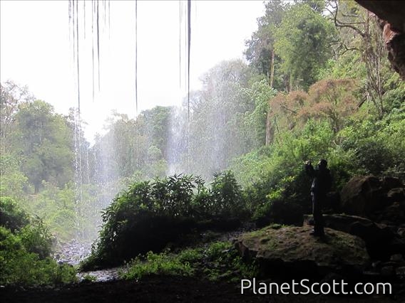 Mt. Elgon Cave Inside