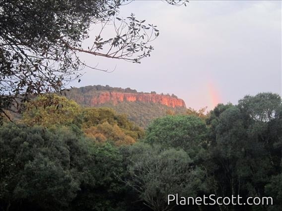 Mt. Elgon View From Bandas