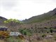 Mt. Elgon Trail to Peak