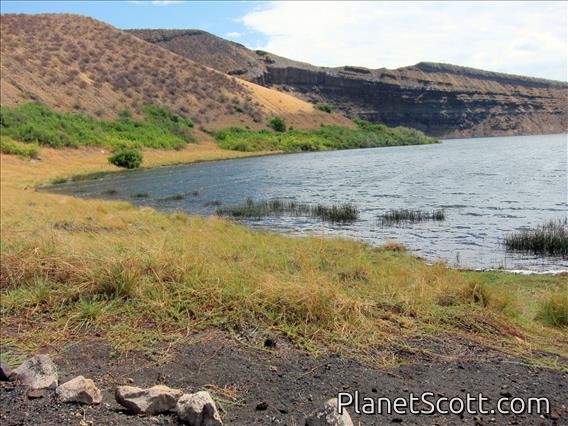 Crocodile Lake - Central Island National Park