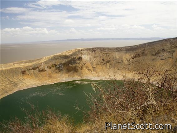 Flamingo Lake - Central Island National Park