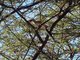 Image from 2013-11-05
