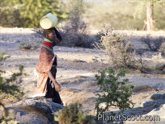 Lokichar - Water Carrier