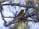 Image from 2014-01-20
