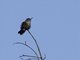 Image from 2014-01-21