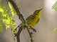 Image from 2014-01-22