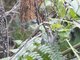 Image from 2014-01-20