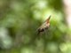 Image from 2014-05-03