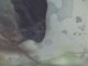 Image from 2014-05-11