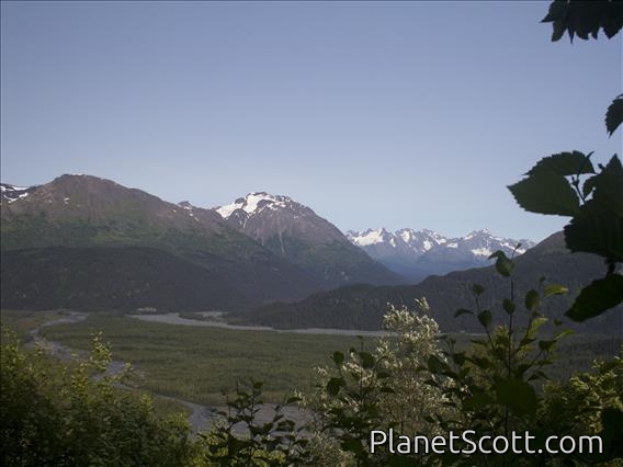 Kenai Fjords Exit Glacier Area