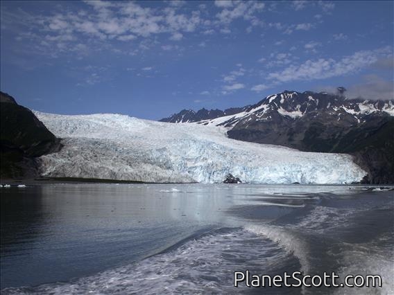 Aialik Glacier