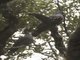 Image from 2015-03-26
