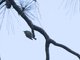 Image from 2015-03-29
