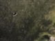 Image from 2015-03-31