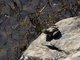 Image from 2015-03-31
