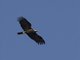 Image from 2015-04-01