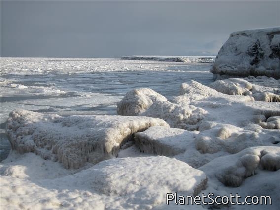 Arctic Coast