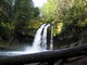 Waterfall near Mt. St. Helens