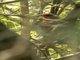 Image from 2015-10-29