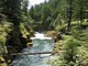 Mt. Ranier National Park