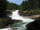 Mt. Ranier National Park