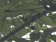 Image from 2015-10-30