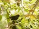 Image from 2016-01-01