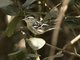 Image from 2016-01-01
