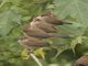 Image from 2016-01-05