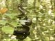 Image from 2016-01-06