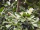 Image from 2016-02-22