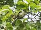 Image from 2016-02-23