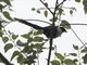 Image from 2016-02-24