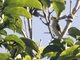 Image from 2016-02-25