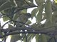 Image from 2016-02-25