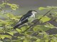 Image from 2016-02-26