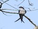 Image from 2016-02-27