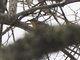 Image from 2016-02-27