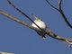 Image from 2016-02-27