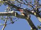 Image from 2016-02-24