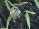 Image from 2016-02-27