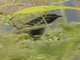 Image from 2016-02-27