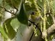 Image from 2016-02-27