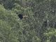 Image from 2016-02-27