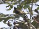 Image from 2016-02-28