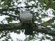 Image from 2016-02-28