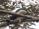Image from 2016-02-28
