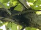 Image from 2016-03-03