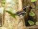 Image from 2016-02-24